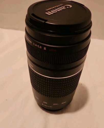 Canon 300 4 - mm, 1:4-5.6