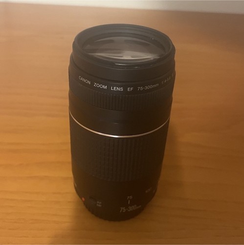 Canon 300mm 5 - f/4-5.6, iii