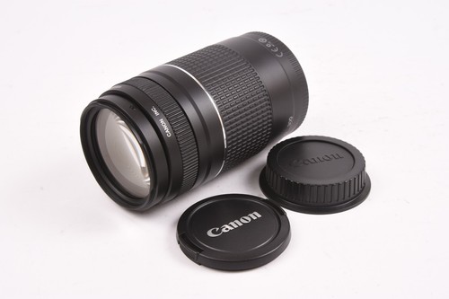 Canon 300 4 - 75-300, iii