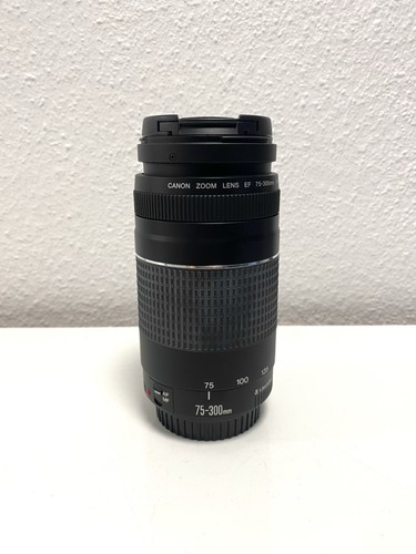 Canon 300mm 5 6 - 75-300mm, iii