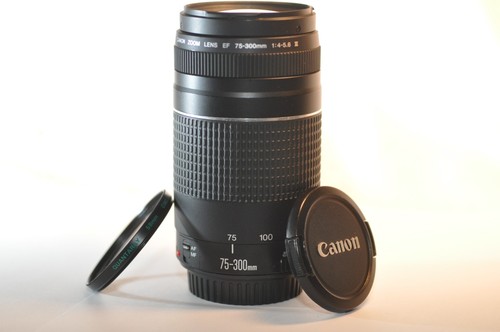 Canon 300mm 5 6 iii - canon, 75-300mm