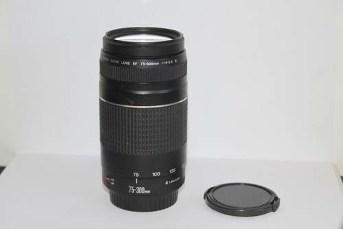 Canon eos 300mm - canon,