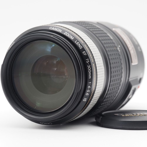 Canon 300mm 5 - canon, f4-5.6