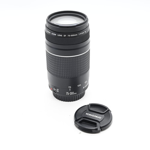 Canon 300 5 6 - canon, mm