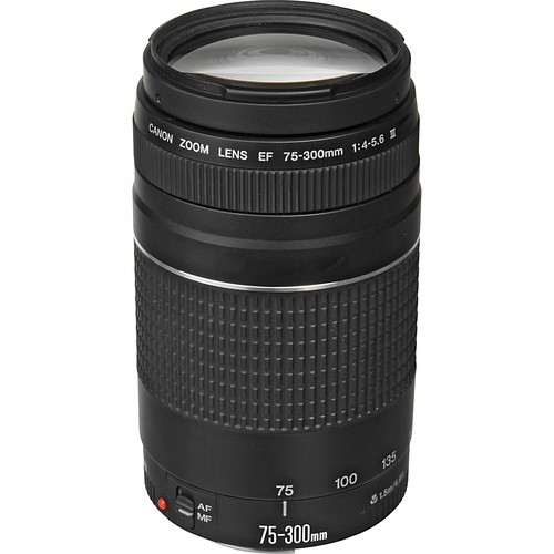 Canon 300 4 - canon, f/4-5.6