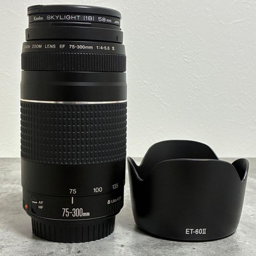 Canon 300 5 - canon, mm