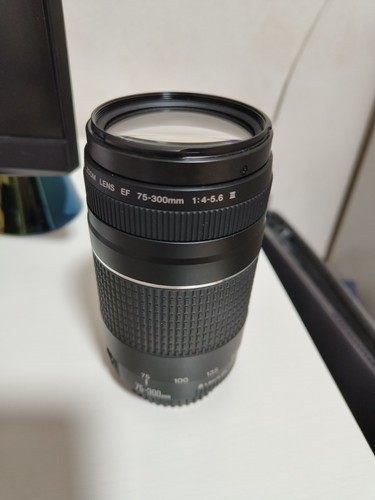 Canon 300mm 5 - canon, iii