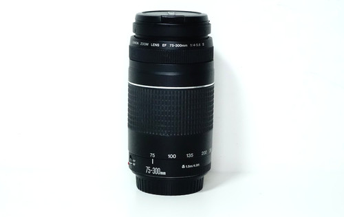 Canon 300mm 5 6 - f/4-5.6, iii