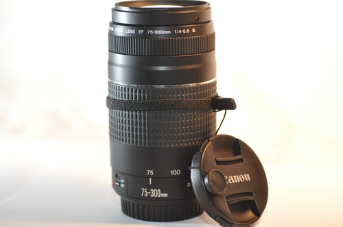 Canon 300mm 5 6 - ef, 75-300mm