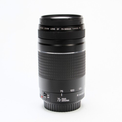 Canon 300 4 5 6 - ef, 75-300