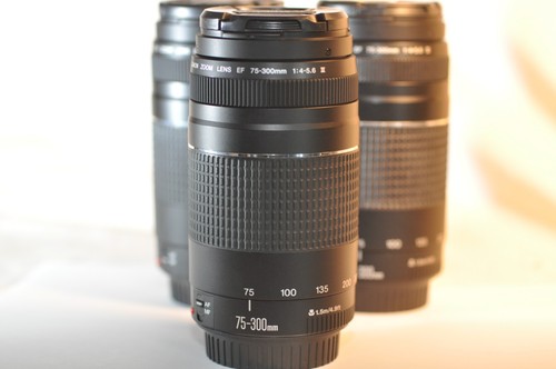 Canon 300mm 5 - canon, 75-300mm