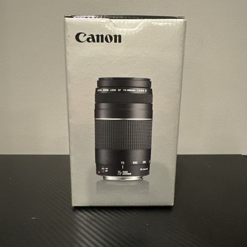 Canon 300 4 5 6 - canon, mm