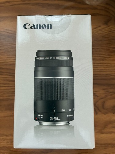 Canon 300 4 - canon, f/4-5.6