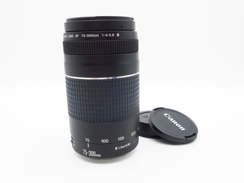 Obiettivo canon zoom lens - lens, ef