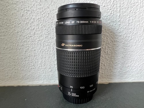 Canon zoom lens 300 - zoom, ef