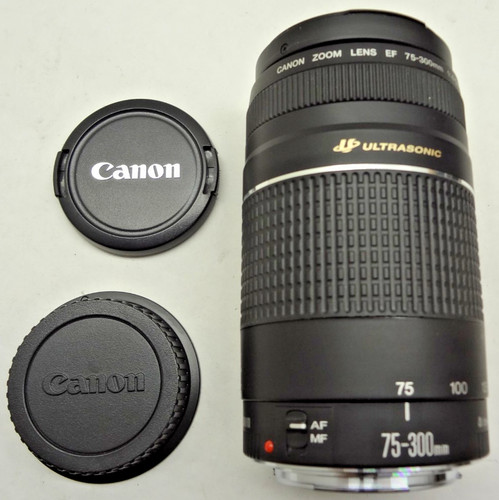Canon 300mm 5 - ef, iii