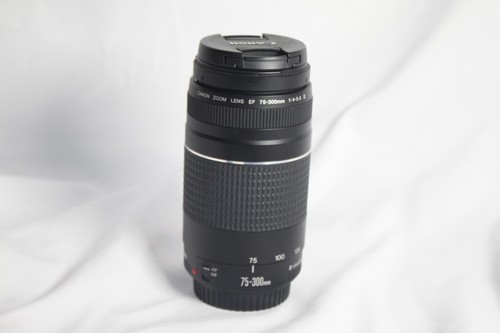 Canon 300 4 5 6 - mm, iii