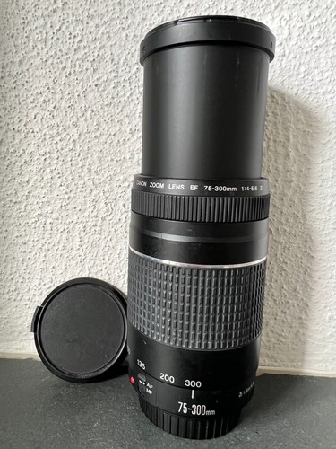Canon 300 4 0 - 75-300, mm