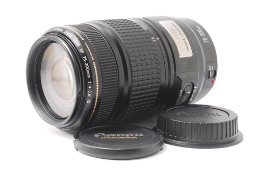 Canon 300mm 5 - 75-300mm, f4-5.6