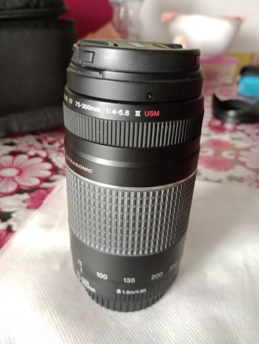 Canon 300mm 5 6 - canon, iii