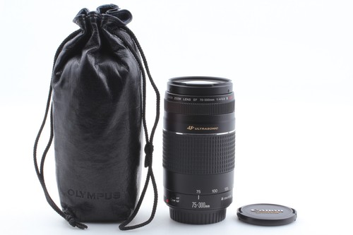Canon 300mm 5 - ef, iii