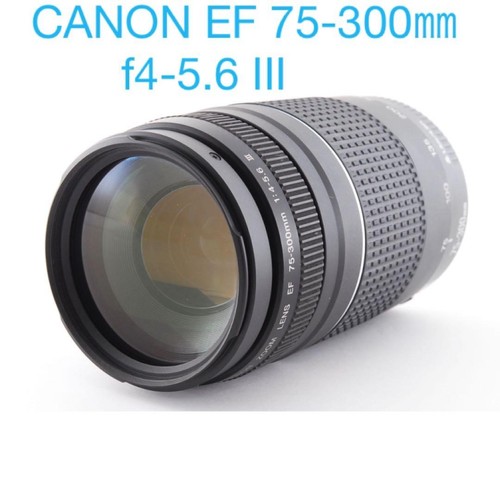 Canon 300 5 6 - canon, 75