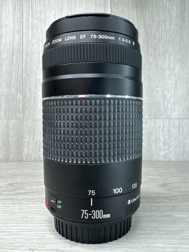 Canon 300 4 - ef, f/4-5.6