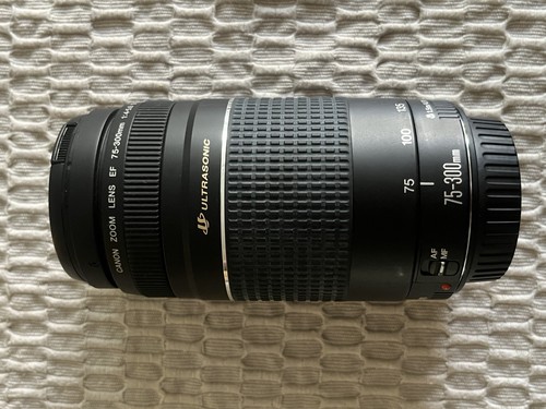 Canon 300mm 5 6 iii - canon,