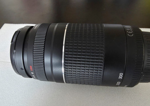 Canon ultrasonic 300 - ultrasonic, mm