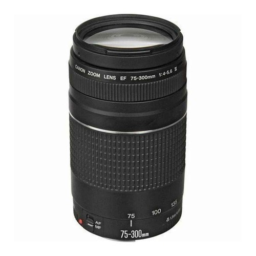 Canon 300mm 5 - ef, f/4-5.6