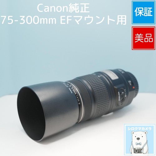 Canon 300 4 5 - ef, f/4-5.6