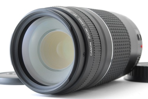 Ottimo come nuovo canon - [ottimo, ef