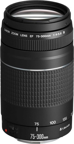 Canon 300mm 5 6 iii - canon,
