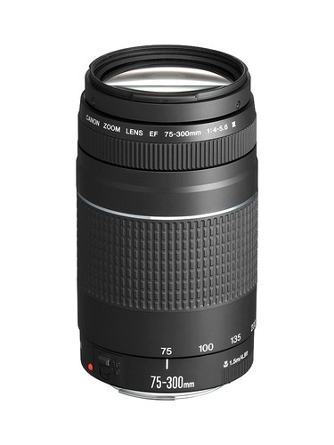 Canon 300 4 5 - canon, mm