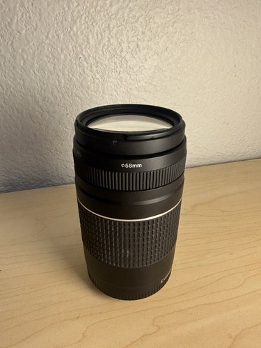 Canon 300 4 - canon, f/4-5.6
