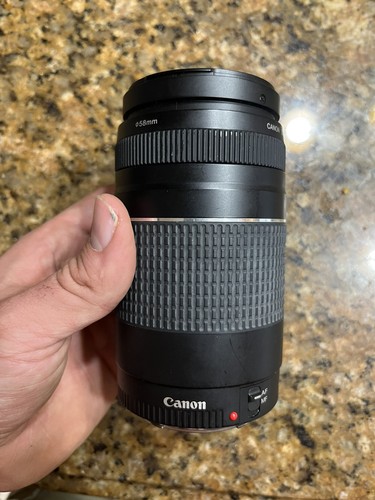Canon 300 4 - ef, f/4-5.6