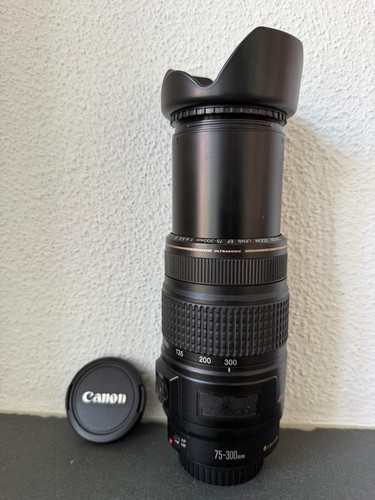 Canon 300 4 - f/4-5.6, is
