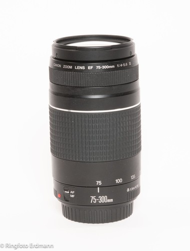 Obiettivo canon 300mm - ef, 75-300mm