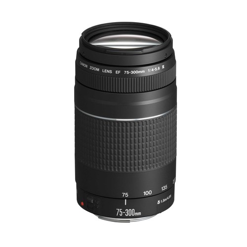 Canon teleobiettivo zoom - zoom, ef