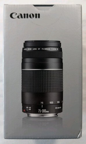 Canon 300mm 5 6 - canon, iii