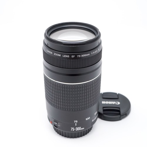 Canon 300mm 5 6 iii - canon, ef