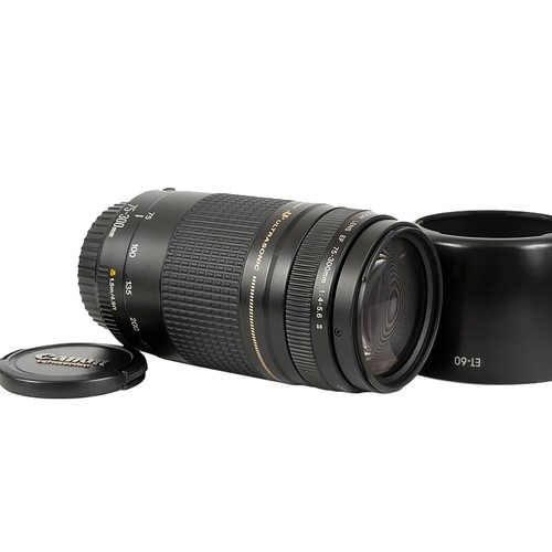 Canon 300mm 5 6 ii - canon,