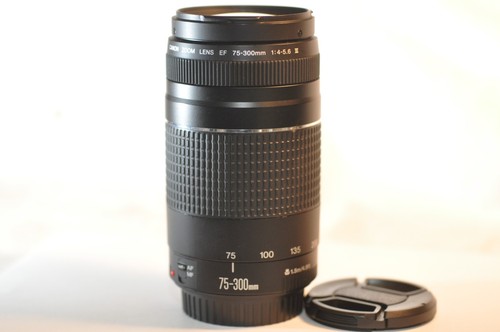 Obiettivo canon 300mm - canon, 75-300mm