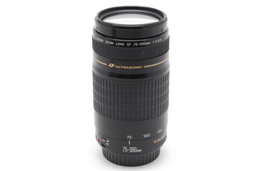 Top mint canon - 【top, mint】canon