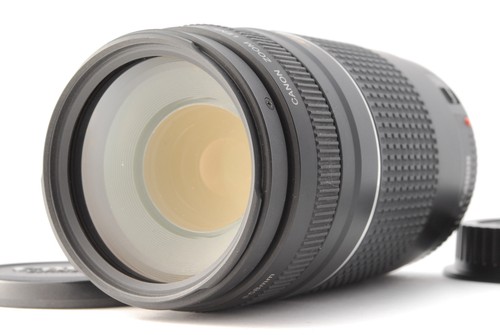 Canon 300 5 6 - canon, mm