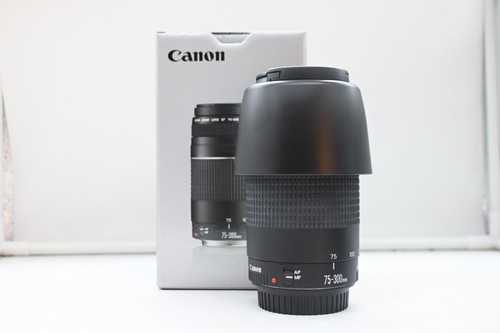 Canon 300mm 5 6 - canon, ef