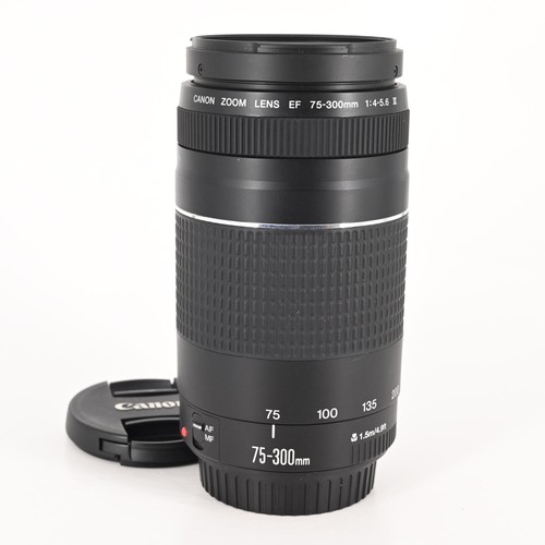 Canon 300 5 6 - canon, mm