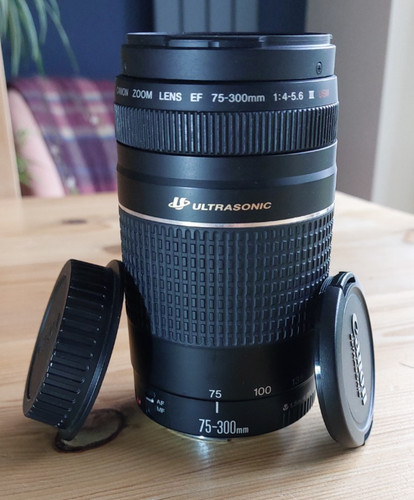 Canon 300 4 - mm, f/4-5.6