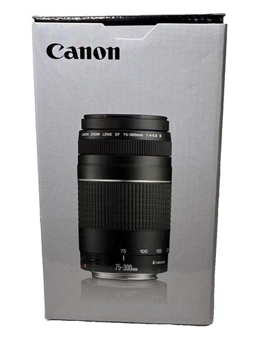 Canon 300 4 5 6 - f/4-5.6, iii
